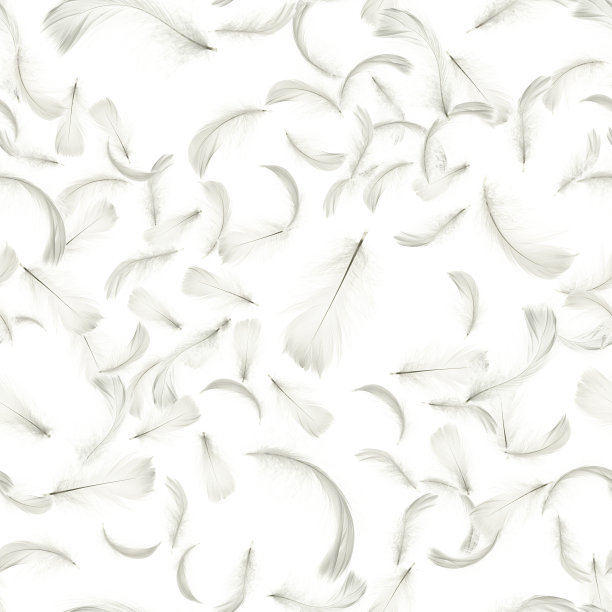 羽平的。柔和的天使羽毛无缝图案纹理落在白色背景上。流行色彩趋势春夏。图片下载