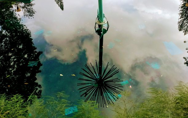 水中天影图片下载