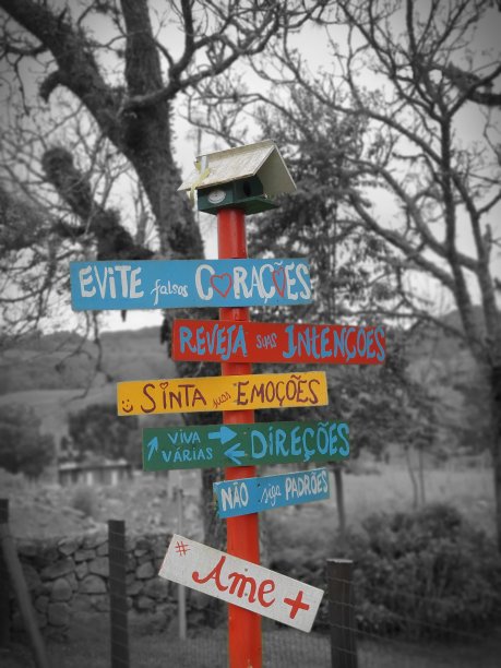 简单的生活图片下载