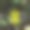 树林中的避难所岛标志图片下载
