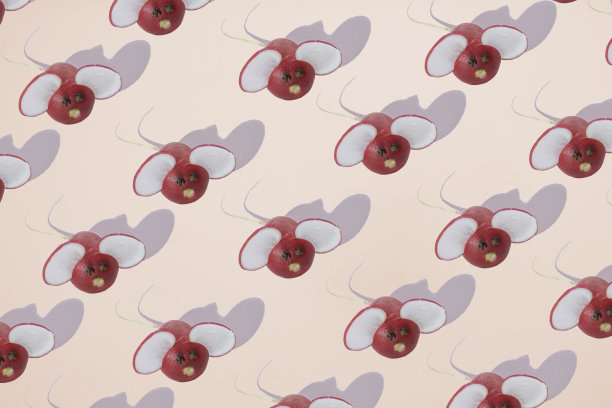 小萝卜做成的老鼠站在粉笔背景图案上，概念简约图片下载