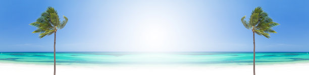 热带风景，棕榈树和加勒比海。长长的横幅图片下载
