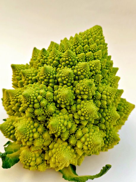 罗曼内斯科， 布拉西奇奥莱拉切亚图片下载