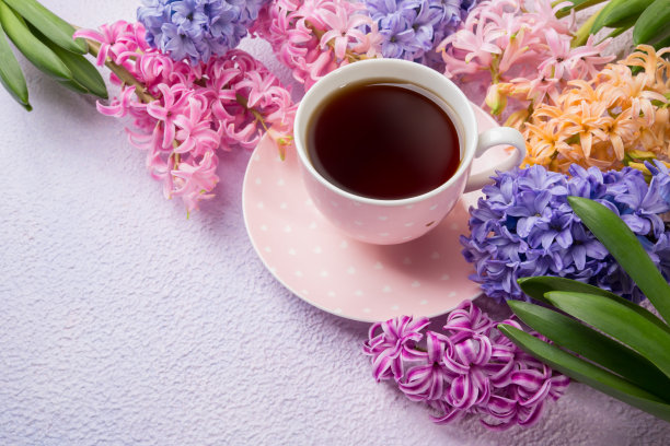 一杯带花的茶，淡紫色背景上放着风信子。的想法。春天的背景,概念。前视图。图片下载