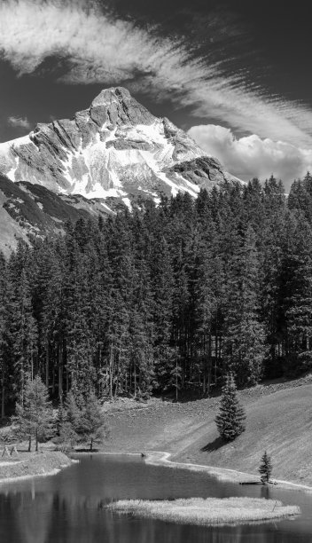 灰度。夏季山景比伯考夫山与深蓝色的天空和小森林湖(沃斯，沃拉尔伯格，奥地利)。两张照片缝合垂直全景。图片下载