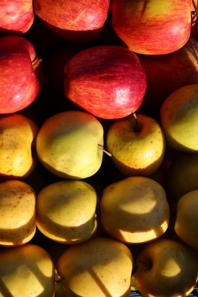 在阳光下的苹果红绿色黄水果食物背景全框架图片下载