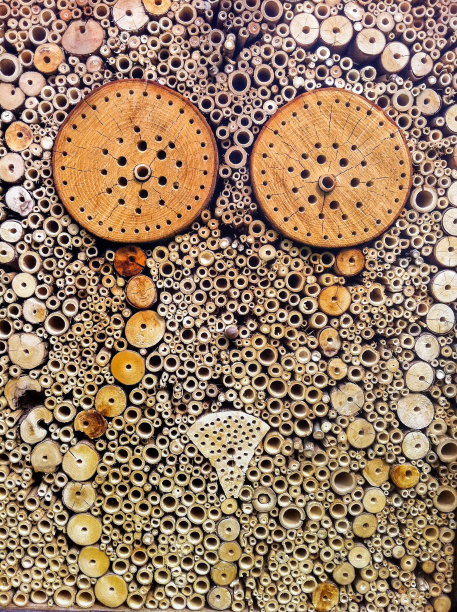 昆虫酒店特写图片下载