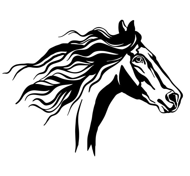 抽象肖像奔跑黑色轮廓马图片下载