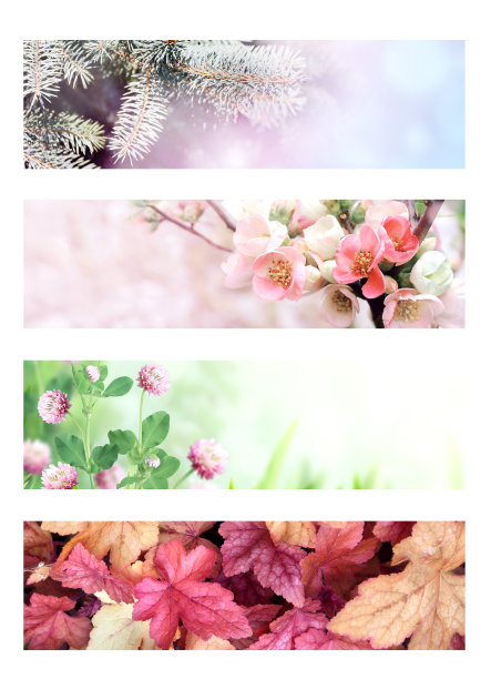 一年四季图片下载