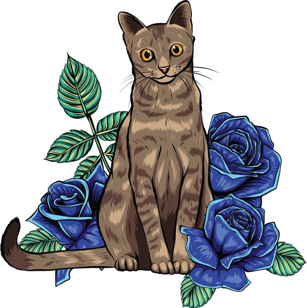 手绘墨水涂鸦猫和花在白色图片下载