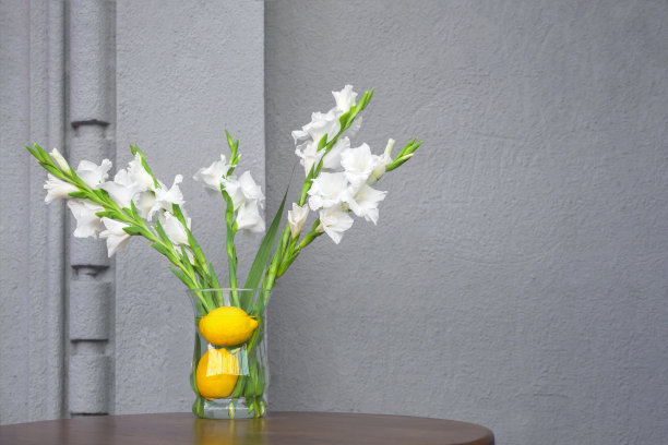 概念夏日鲜花背景装饰清新室内以混凝土墙面咖啡厅设计有机餐厅元素。新鲜植物在有机咖啡桌上，鲜花花瓶与柠檬在素食餐厅。图片下载