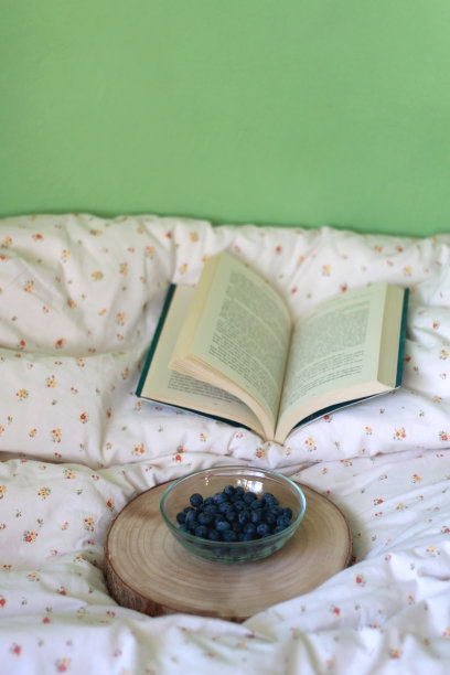 蓝莓和书图片下载