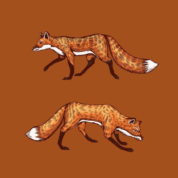 野红狐设林姜兽飞图片下载