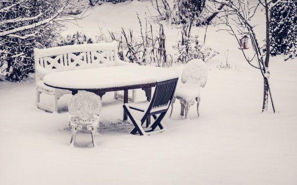 布隆德比下雪了图片下载