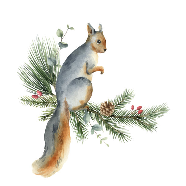 有松鼠的水彩画圣诞卡图片下载