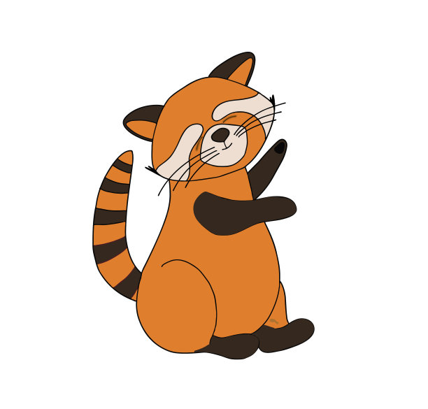 小熊猫猫小熊性格可爱野兽有趣图片下载