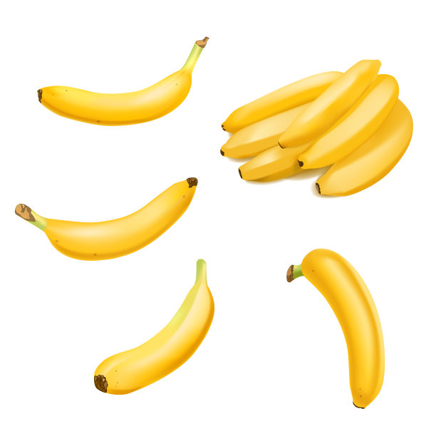 真实的香蕉和香蕉束孤立在白色的背景。热带水果。现实的矢量图图片下载