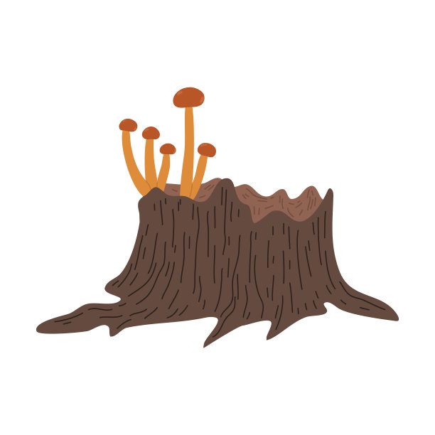 木桩上长着棕色的蜂蜜蘑菇图片下载