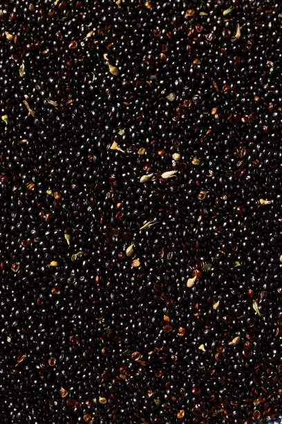 生黑色有机苋菜谷物图片下载