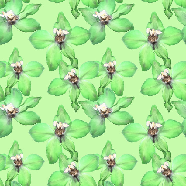 飞燕草,燕草属植物。插图，花的纹理。无缝模式。花卉背景，照片拼贴制作的纺织品，棉织品。壁纸,覆盖。图片下载