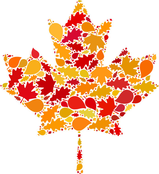 枫叶秋天的拼贴图标与秋天的树叶图片下载