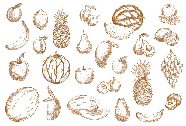 水果素描食物图标热带异国孤立图片下载