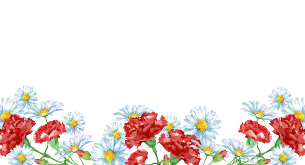 康乃馨和雏菊图片下载