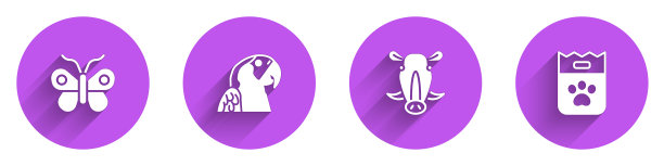 集蝴蝶金刚鹦鹉野猪头和图片下载