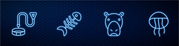 设定线河马或河马项圈的名称图片下载