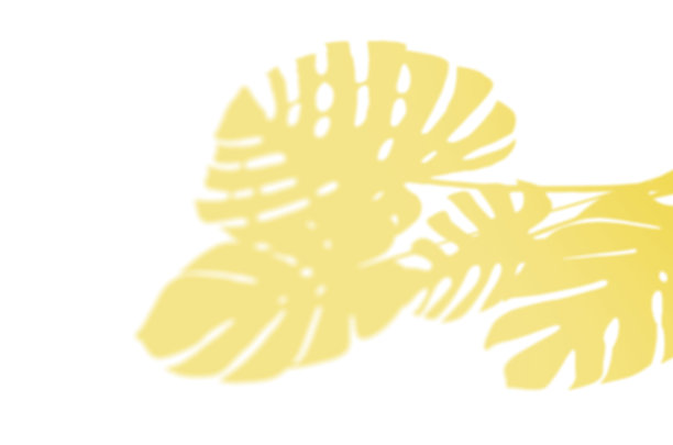 夏天的阴影背景树枝上的叶子在墙上。照亮潘通的2021年色彩图片下载