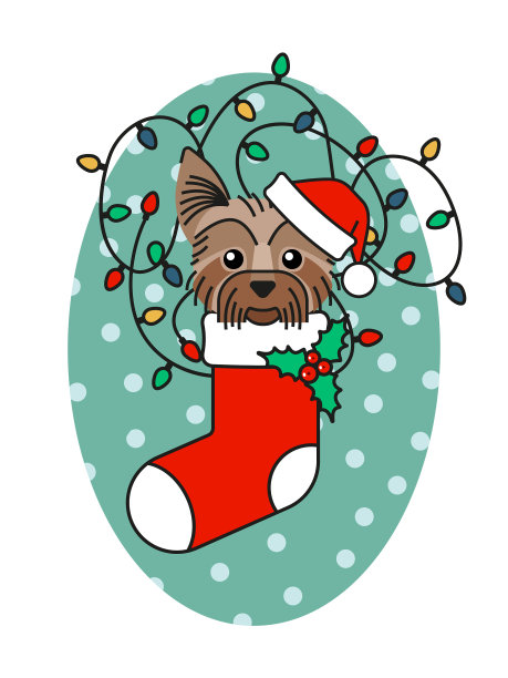 圣诞袜里戴着圣诞帽的约克郡犬图片下载