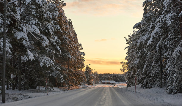 在日落时穿过森林的冬季道路图片下载