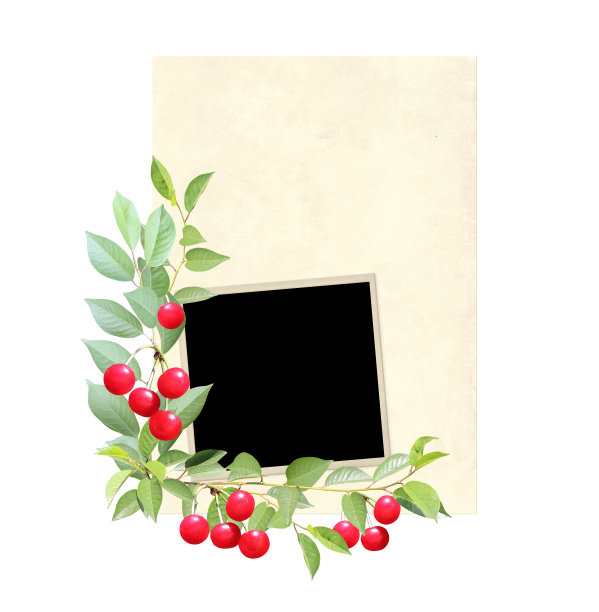 垂直复古卡片与樱桃树枝与红色浆果图片下载