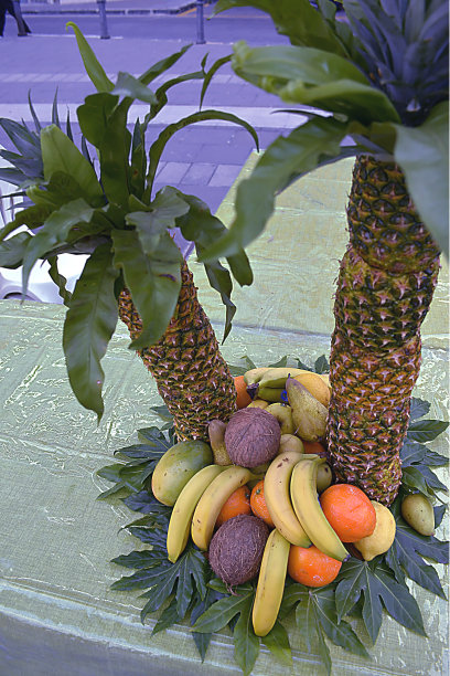 用新鲜水果制成的棕榈树图片下载