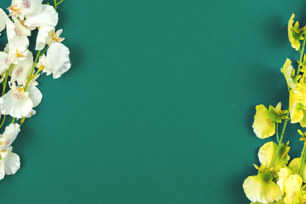 粉彩背景上的春花边框，植物，平拉式，复制空间照片图片下载