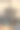 阴暗处的狮子图片下载