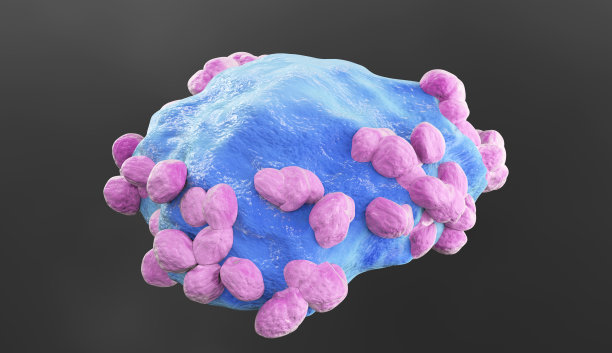 淋巴瘤癌细胞图片下载