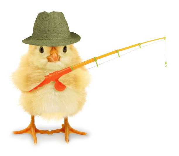 可爱酷的小鸡钓鱼者与钓竿爱好休闲活动有趣的概念形象图片下载