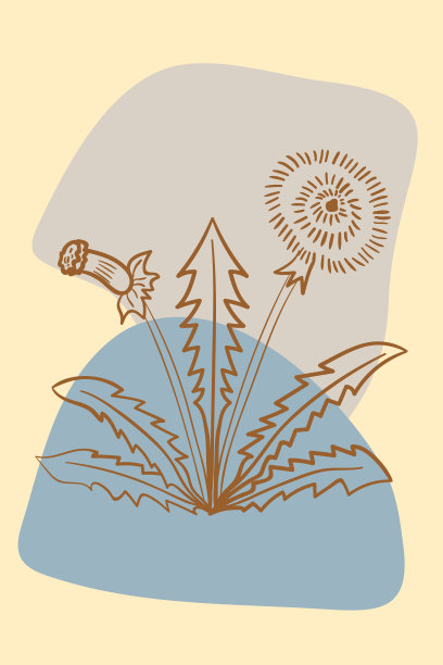 蒲公英，抽象，海报，简约图片下载