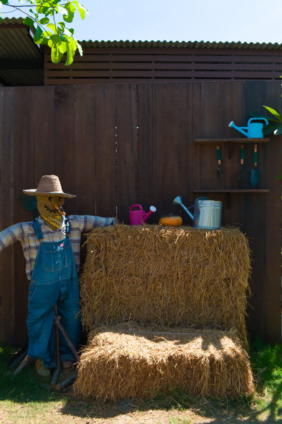 稻草人穿上农民的衣服和各种农具挂在木墙上图片下载