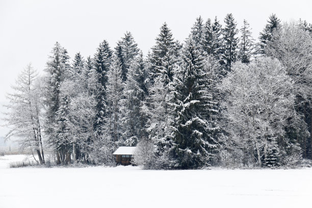 雪山冬季森林与原木小屋图片下载