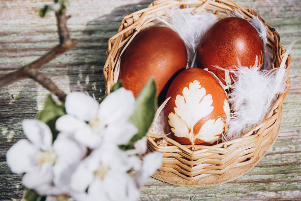用杏白和粉红色的花装饰的复活节棕色彩蛋篮子。节日的背景。春天的假期。图片下载