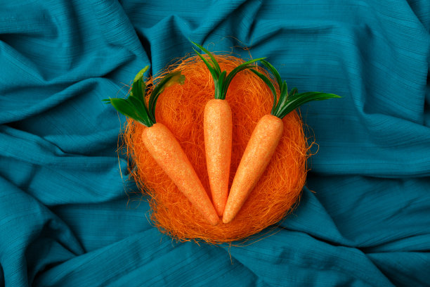 最小布局的兔子胡萝卜橙色的鸟巢对青色或蓝色的背景。图片下载