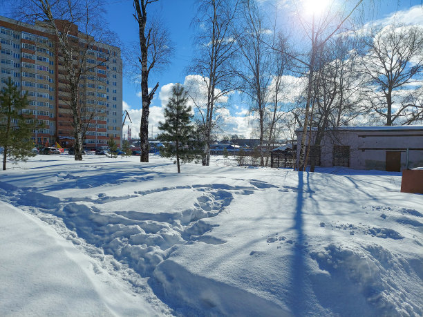 冬天在雪堆中穿过公园。手机照片图片下载