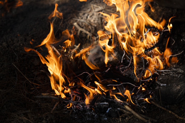 营火做饭和取暖图片下载