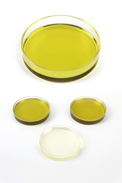 Petrie碟中的CBD油。图片下载