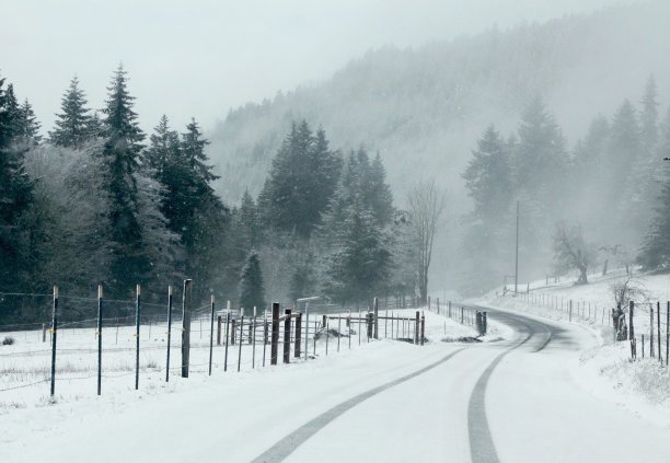 雪和雾的乡村路图片下载