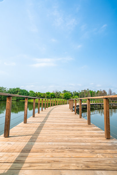 乡村道路上宁静的田园风光图片下载