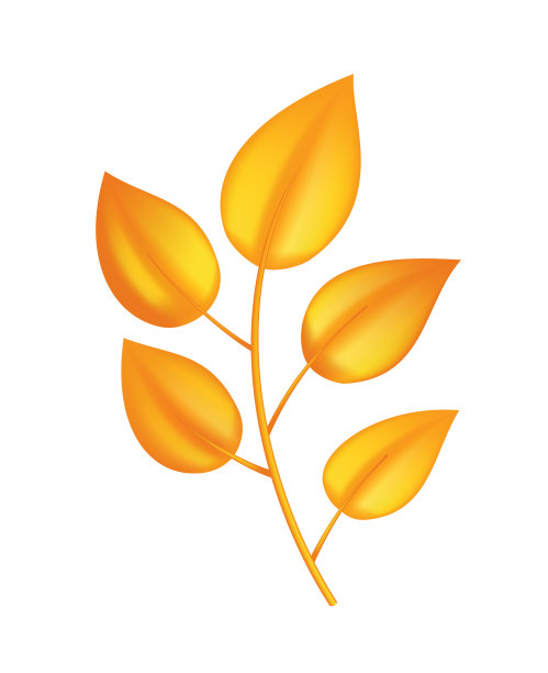 秋天离开。符号与水彩纹理，矢量插图。孤立的设计元素树叶子。假期的贺卡设计图片下载