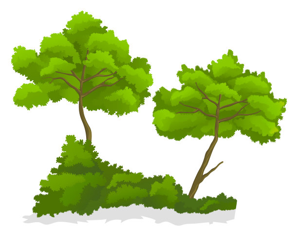 绿色孤立在白色背景树与灌木，夏季自然，植物与绿色叶子，树图标图片下载